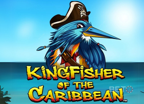 Kingfisher of the Caribbean