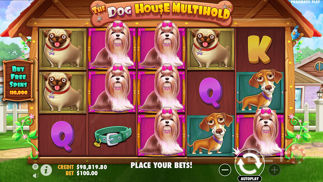 Вердикт для видеослота The Dog House Multihold