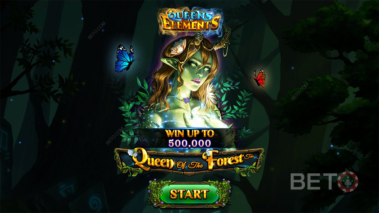 Queen of the Forest Играть Бесплатно