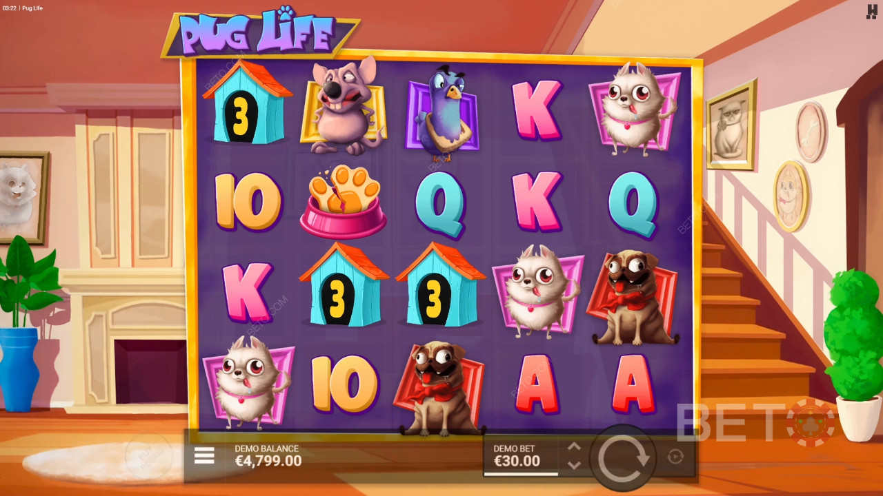 Обзор Pug Life от BETO Slots