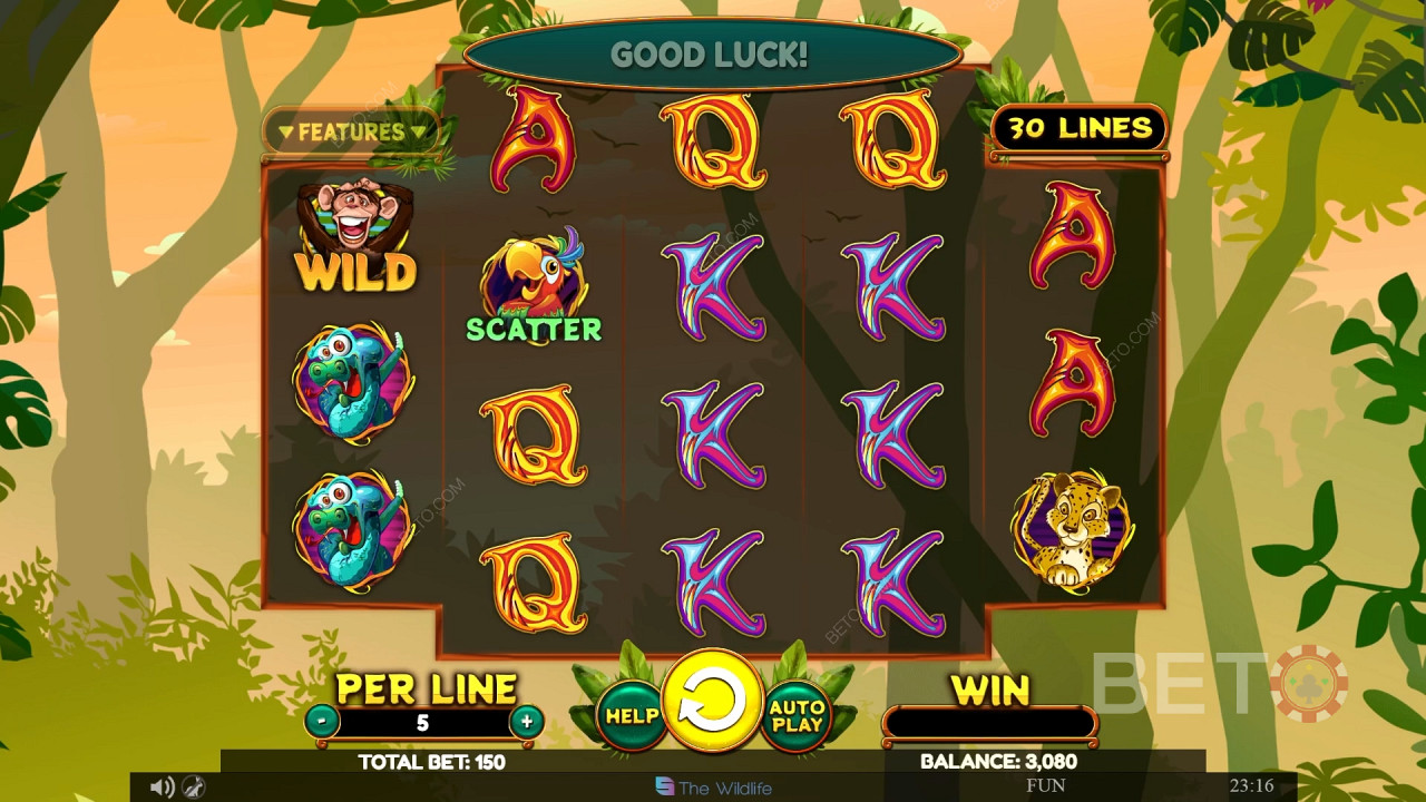 Wacky Monkey Играть Бесплатно
