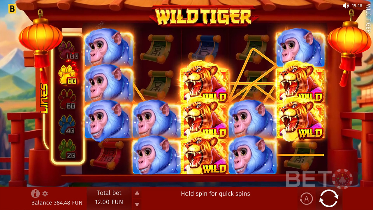 Обзор Wild Tiger от BETO Slots