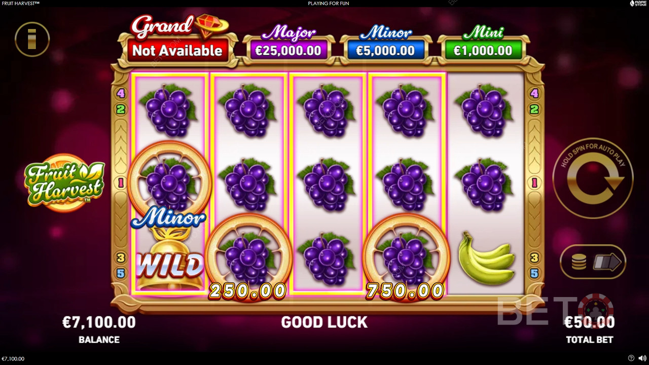 Бонусные функции в игре Fruit Harvest by Rarestone Gaming