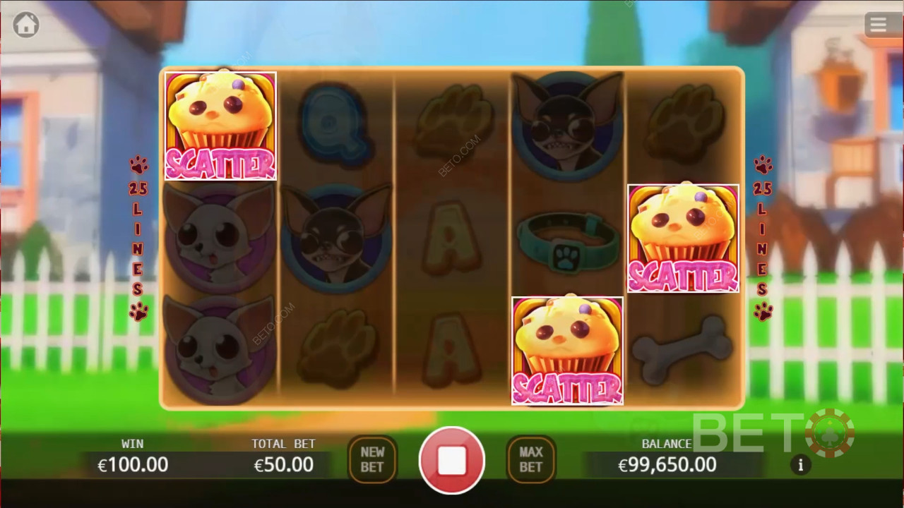 Chihuahua Party Играть Бесплатно