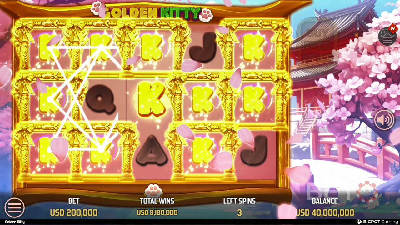 Обзор Golden Kitty от BETO Slots