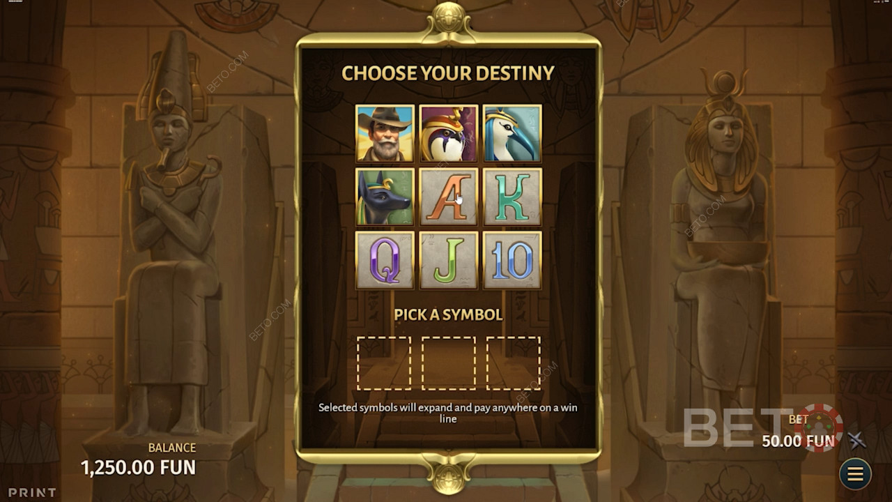 Выберите любой из базовых символов в качестве расширяющего символа для бонусной игры