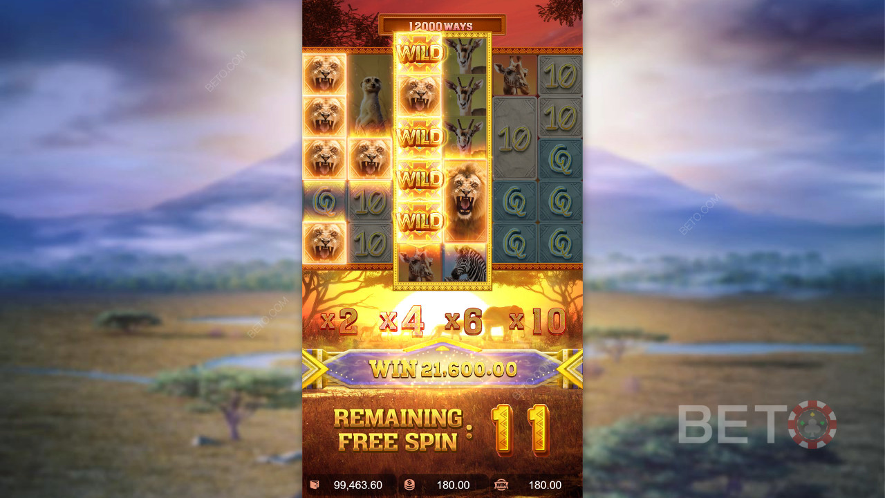 Бонусные функции, объясненные в Safari Wilds by PG Soft