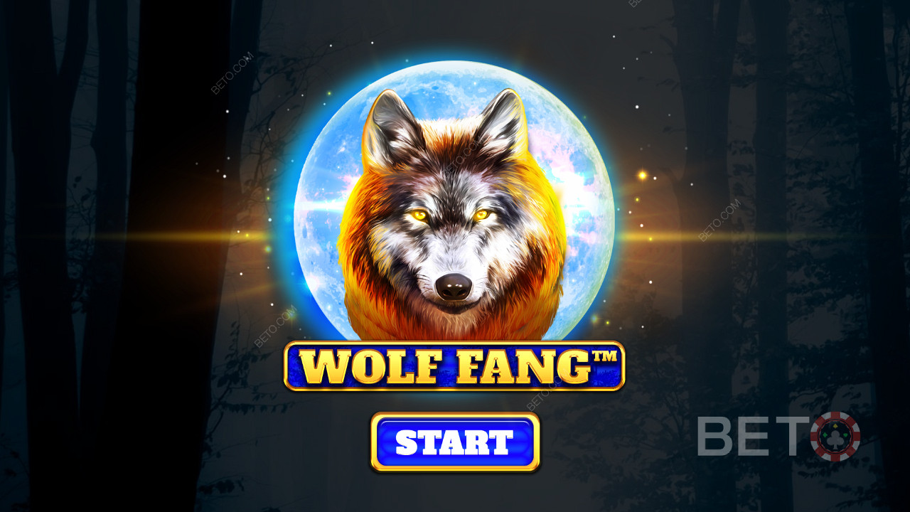 Охотьтесь среди самых диких волков и выигрывайте призы в онлайн-слоте Wolf Fang
