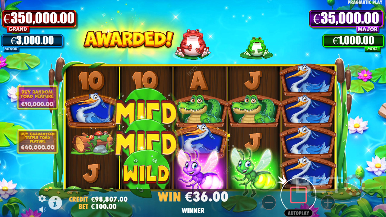 Обзор Tiny Toads от BETO Slots