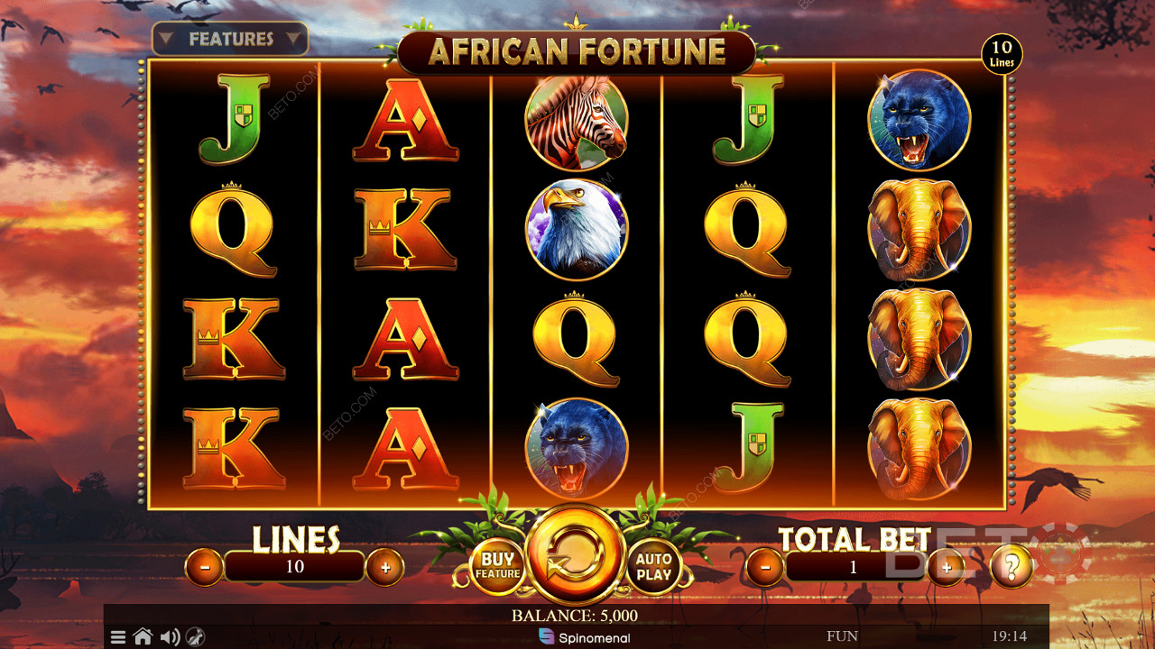 Игровая сетка African Fortune 5x4