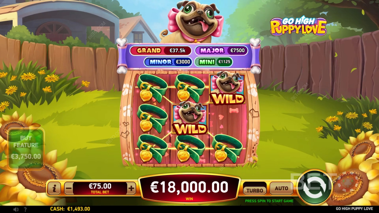 Go High Puppy Love Играть Бесплатно