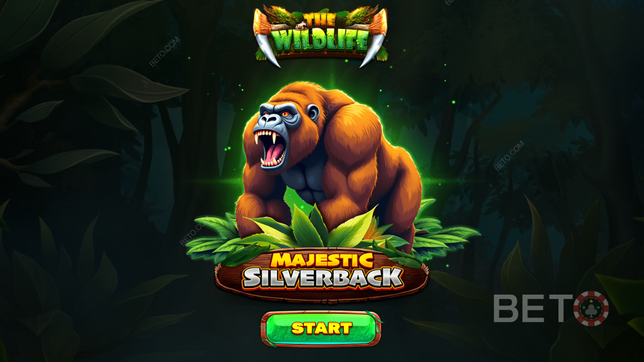 Бонусные функции, объясненные в Majestic Silverback by Spinomenal