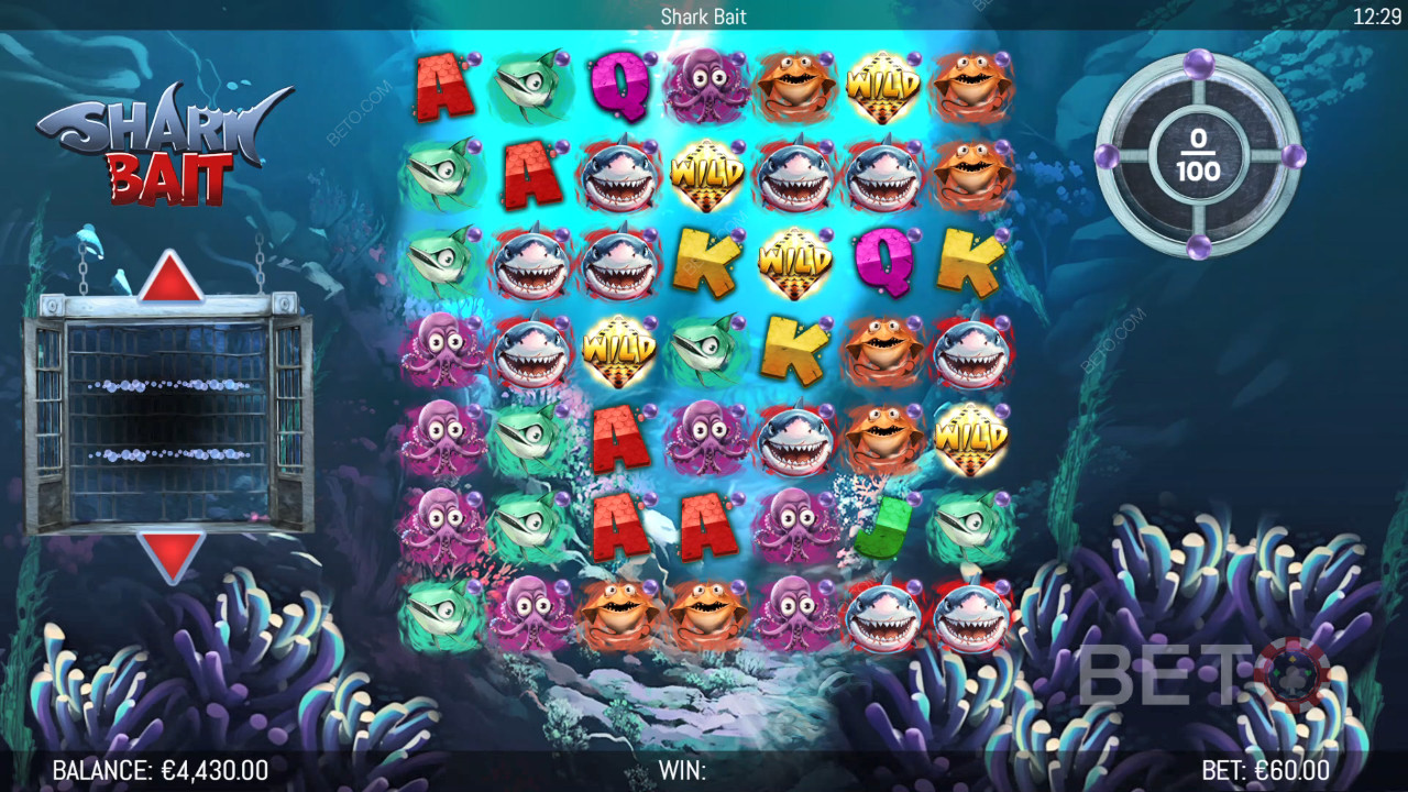Бонусные функции в игре Shark Bait by Hungry Bear