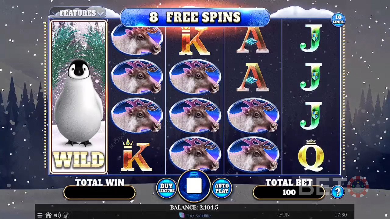 Обзор Wild Penguin от BETO Slots