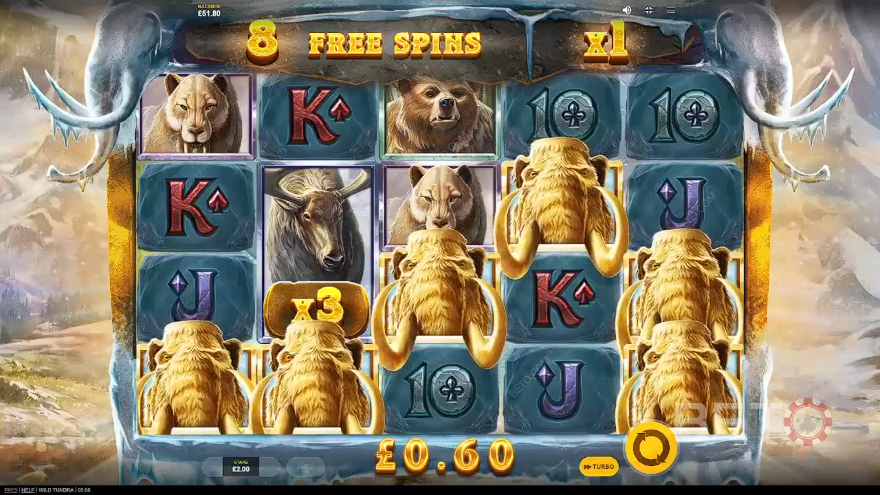 Обзор Wild Tundra от BETO Slots