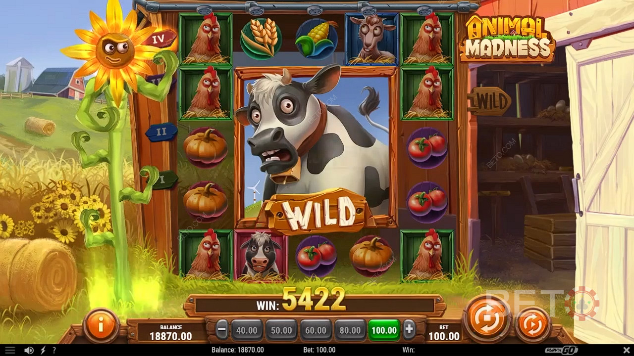 Animal Madness Играть Бесплатно
