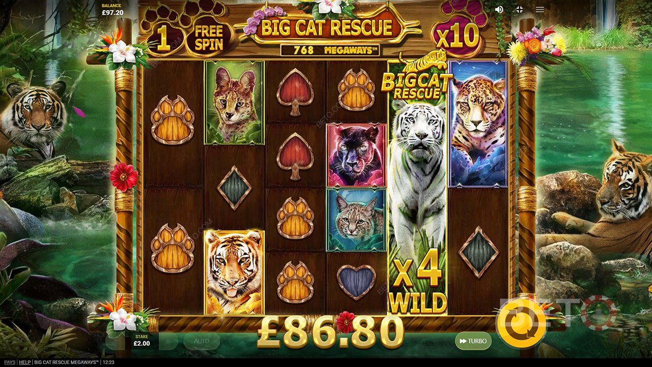 Big Cat Rescue Megaways Review by BETO Slots