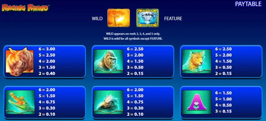 Различные выплаты за различные комбинации символов в игре Raging Rhino