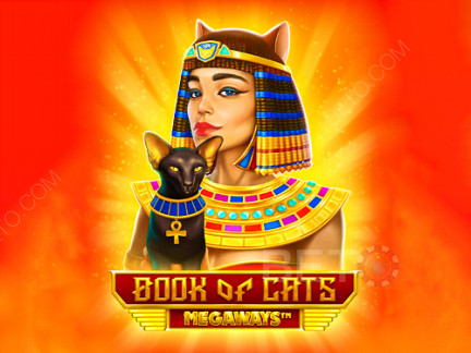 Book of Cats Megaways Демо-версия