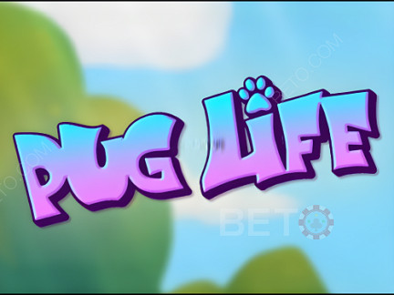 Pug Life Демо-версия