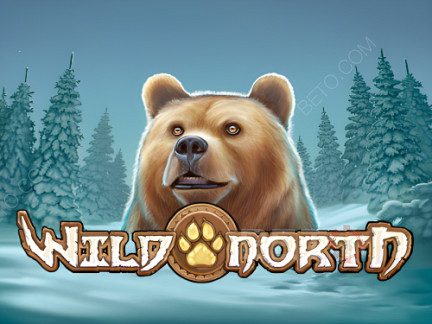 Wild North (Play’n Go) Демо-версия