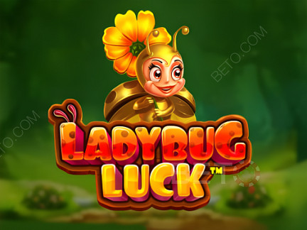 Ladybug Luck  Демо-версия