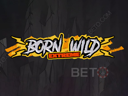 Born Wild Демо-версия