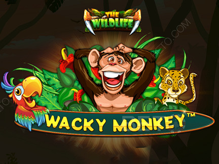 Wacky Monkey Демо-версия