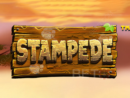 Stampede (Betsoft)  Демо-версия
