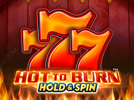 Hot To Burn Hold And Spin Демо-версия