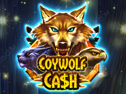 Coywolf Cash Демо-версия