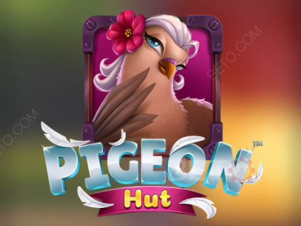 Pigeon Hut Демо-версия