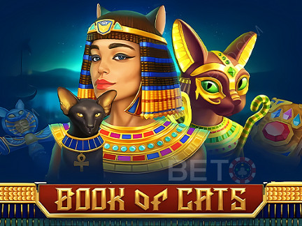 Book Of Cats Демо-версия