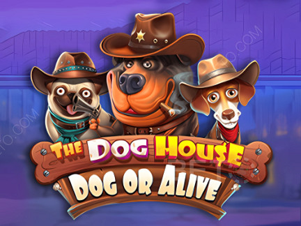 The Dog House - Dog or Alive Демо-версия