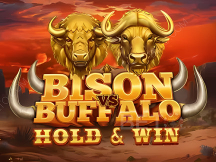 Bison vs Buffalo Демо-версия