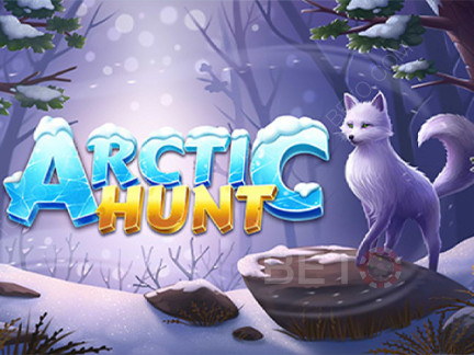 Arctic Hunt Демо-версия