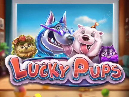 Lucky Pups Демо-версия