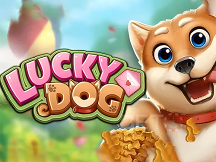 Lucky Dog Демо-версия