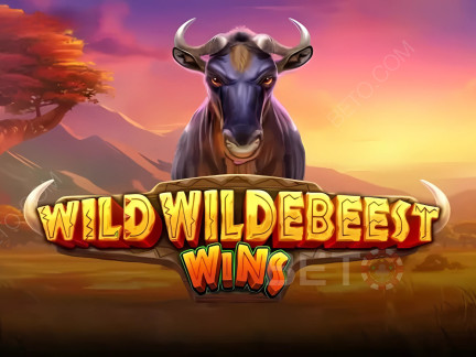 Wild Wildebeest Wins Демо-версия