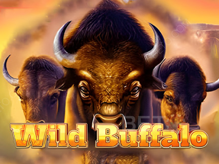 Wild Buffalo Демо-версия