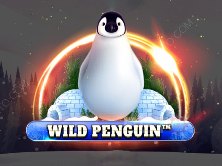 Wild Penguin Демо-версия