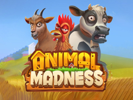 Animal Madness Демо-версия