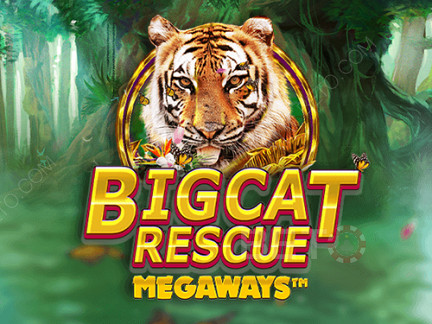 Big Cat Rescue Megaways Демо-версия