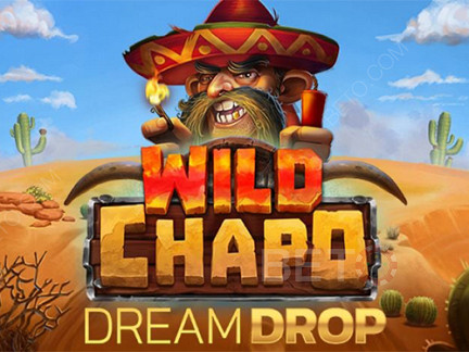 Wild Chapo Dream Drop Демо-версия